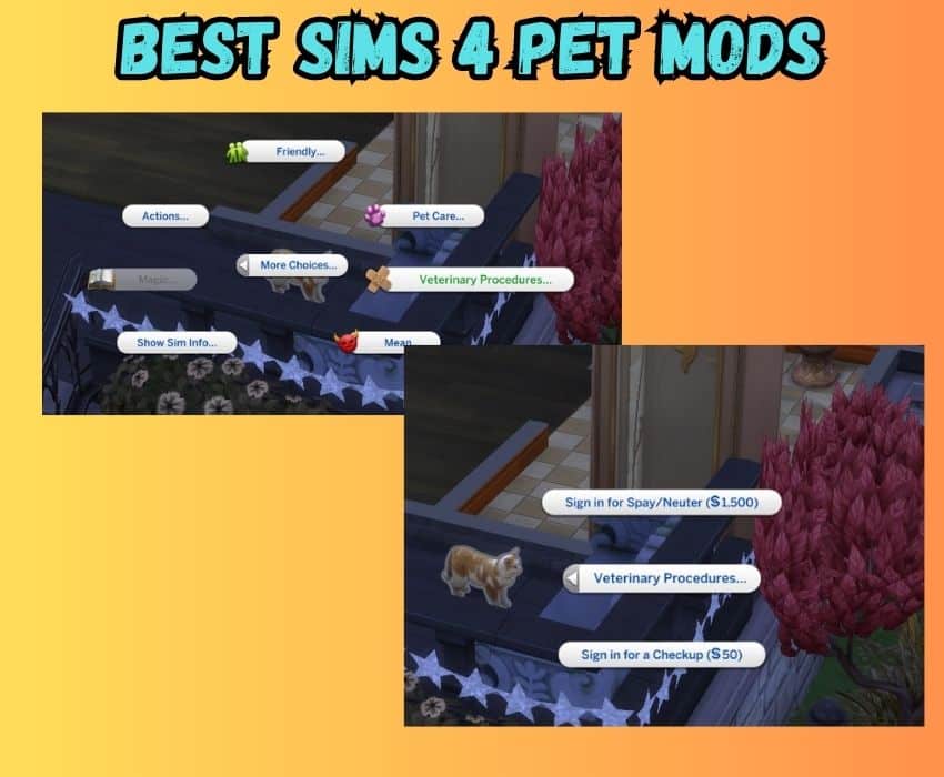 sims 4  rabbit hole veterinary mod