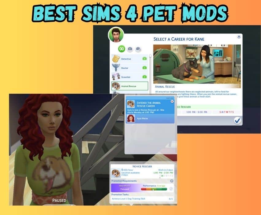 sims 4 animal rescue mod