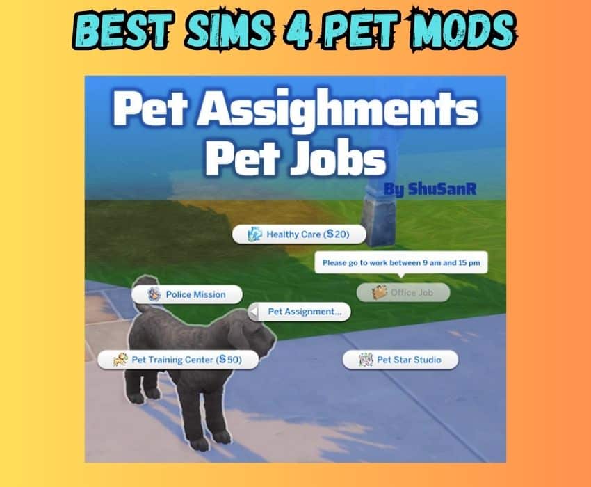 pet assignments peet jobs 