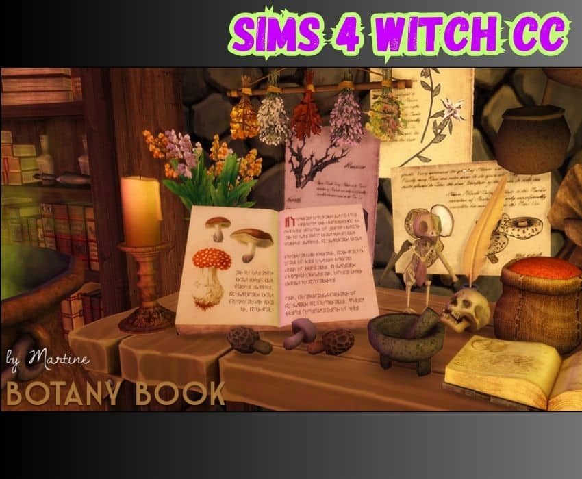 sims 4 witch spell book