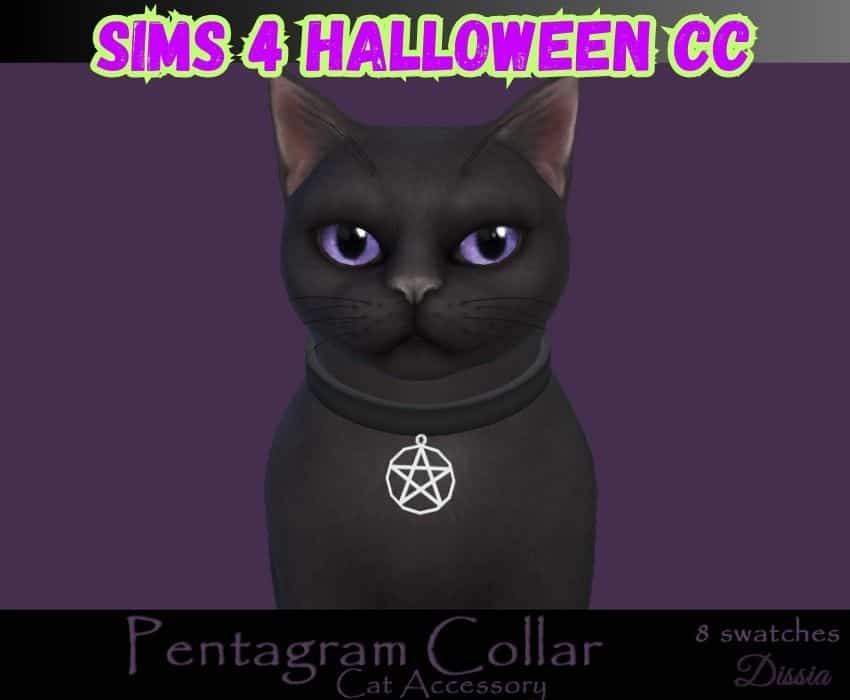 sims 4 halloween pet cat with witch collar