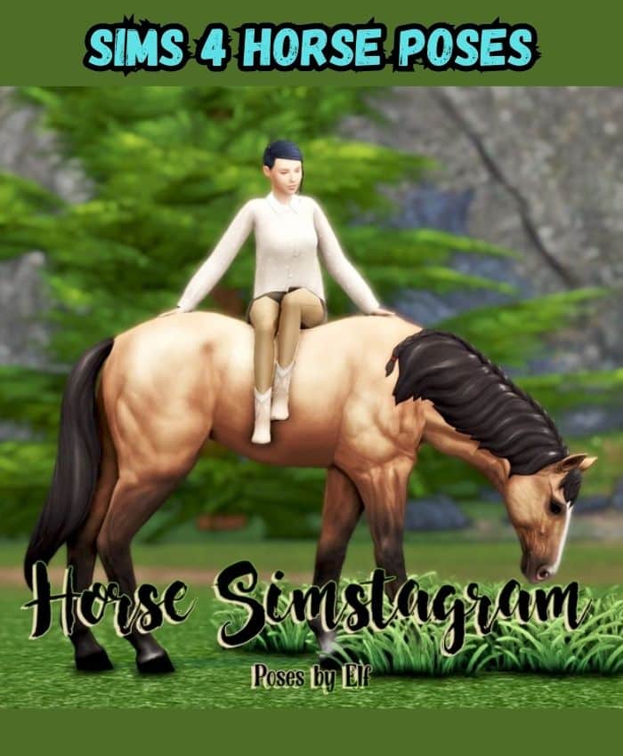 Sims 4 horse pose: Horse rider 