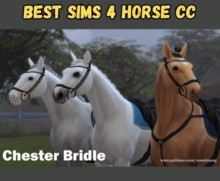 sims 4 chester bridle