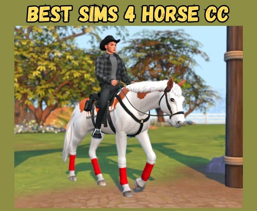 sims 4 horse rider and white horse with red leg wraps