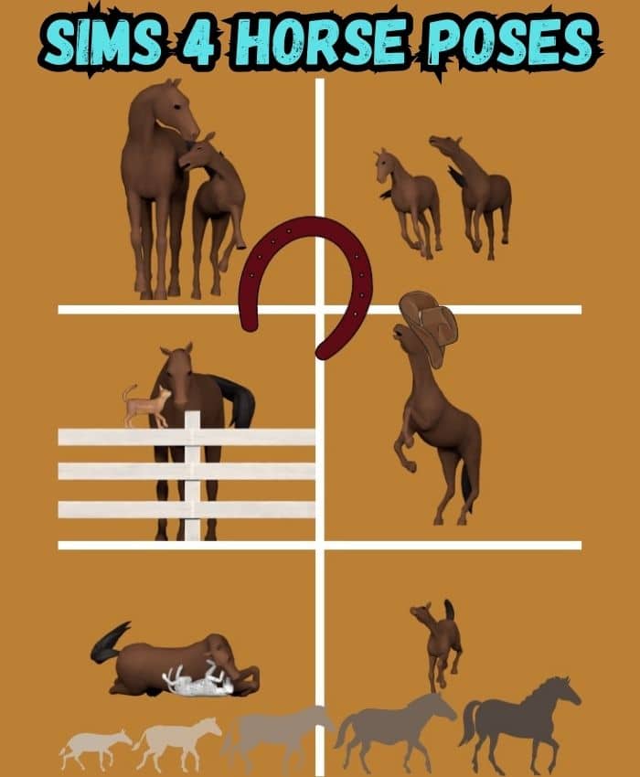 Sims 4 Horse poses cc