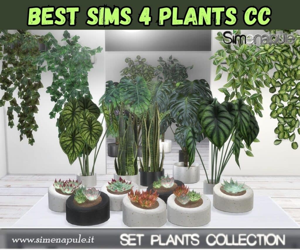 sims 4 plants collection