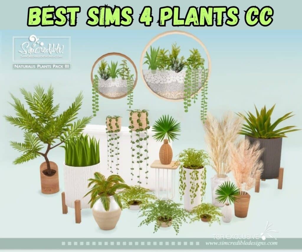 sims 4 potted plants cc
