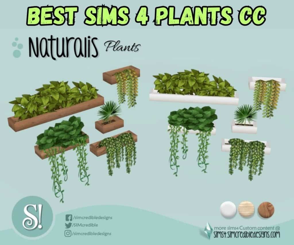 sims 4 wall plants cc